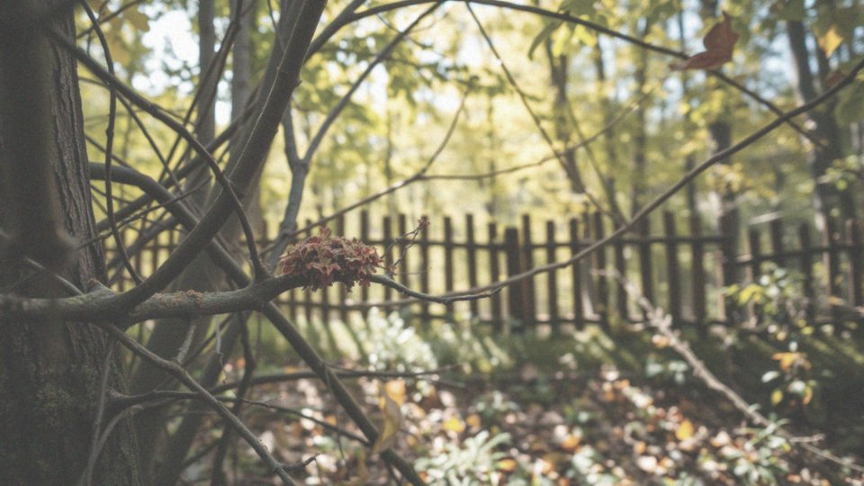 Jakie są zachowania sikorek w naturalnym środowisku?