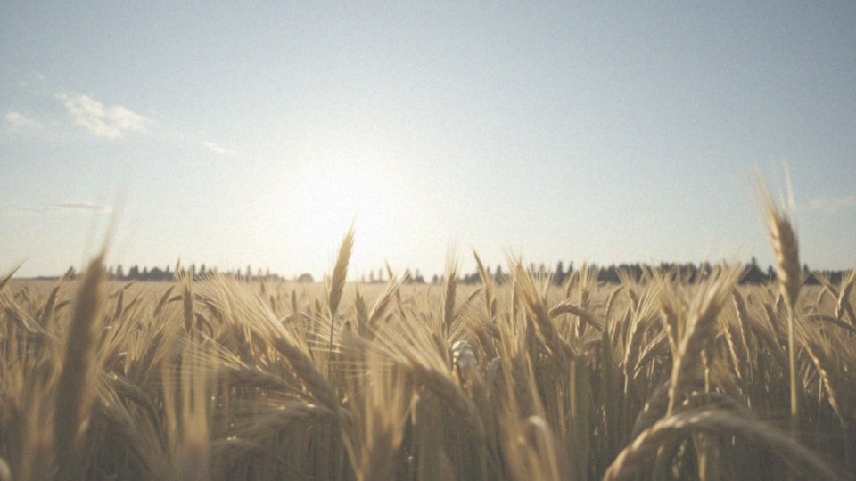 Jak ekspozycja na światło słoneczne wpływa na poziom dopaminy?