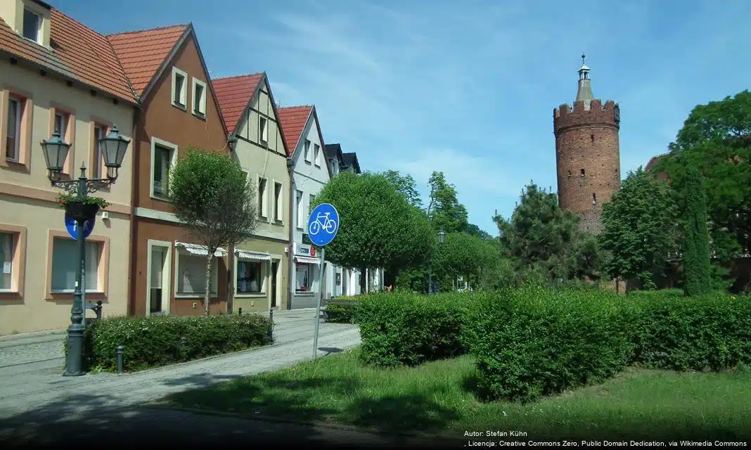 Przyznanie dotacji na zadania pożytku publicznego w Gubinie na 2026 rok