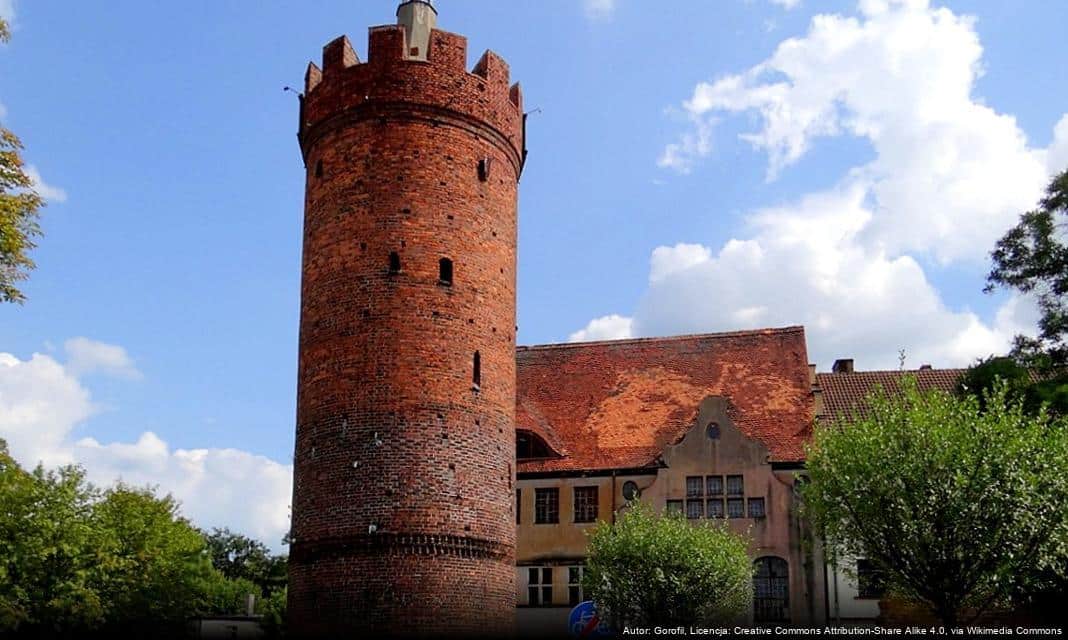 Zachowanie ochrony środowiska poprzez praktyczne wskazówki dotyczące recyklingu w Gubinie